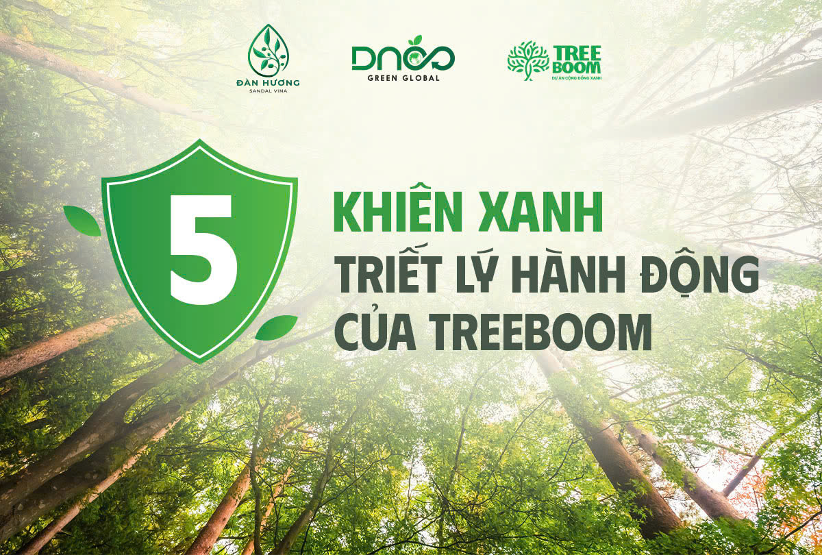 5 khiên xanh triết lý hành động của TreeBoom
