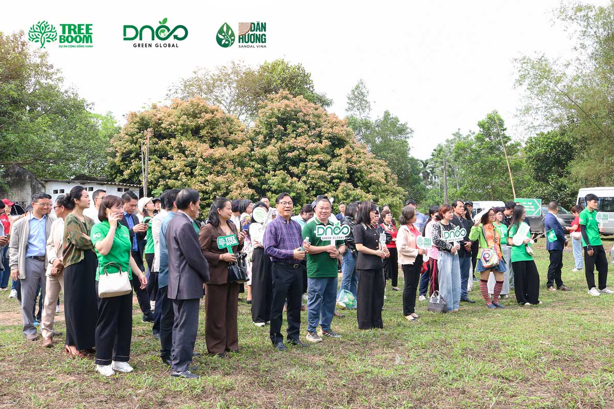 Mọi người được phổ biến về quy trình trồng cây